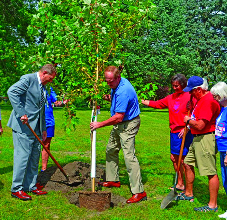 More trees donated in Marshalltown | News, Sports, Jobs - Vimarsana News